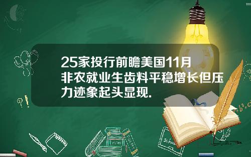 25家投行前瞻美国11月非农就业生齿料平稳增长但压力迹象起头显现.