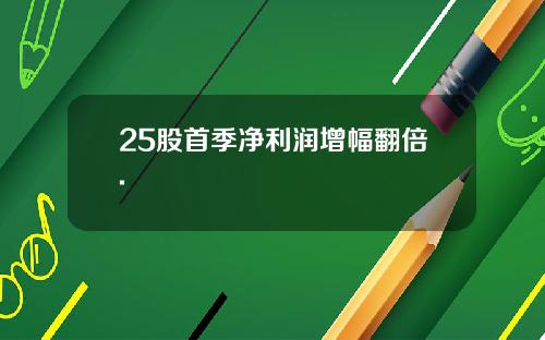 25股首季净利润增幅翻倍.