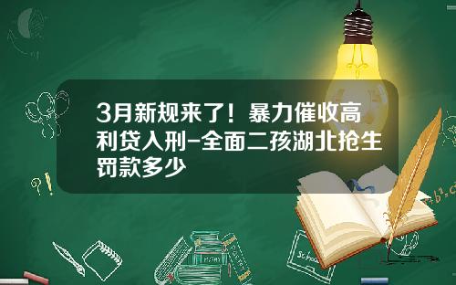 3月新规来了！暴力催收高利贷入刑-全面二孩湖北抢生罚款多少