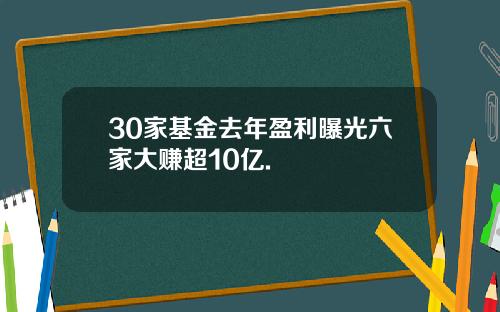 30家基金去年盈利曝光六家大赚超10亿.