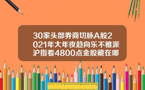 30家头部券商切脉A股2021年大年夜趋向乐不雅派沪指看4800点金股藏在哪.