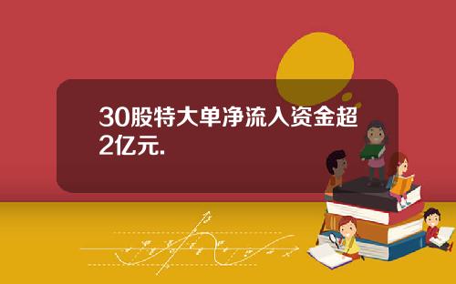 30股特大单净流入资金超2亿元.