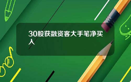 30股获融资客大手笔净买入