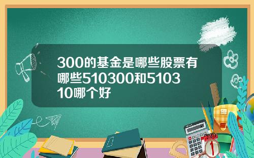 300的基金是哪些股票有哪些510300和510310哪个好
