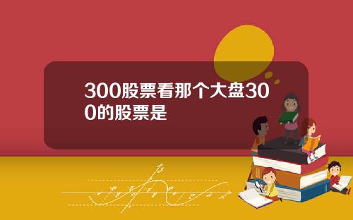 300股票看那个大盘300的股票是