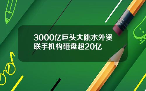 3000亿巨头大跳水外资联手机构砸盘超20亿
