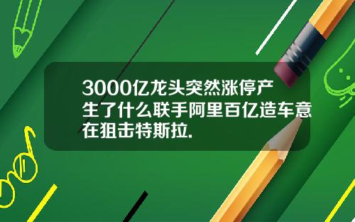 3000亿龙头突然涨停产生了什么联手阿里百亿造车意在狙击特斯拉.