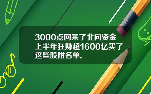 3000点回来了北向资金上半年狂赚超1600亿买了这些股附名单.