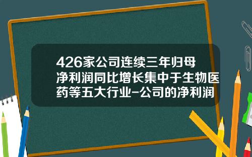 426家公司连续三年归母净利润同比增长集中于生物医药等五大行业-公司的净利润