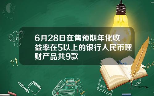 6月28日在售预期年化收益率在5以上的银行人民币理财产品共9款