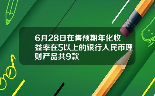 6月28日在售预期年化收益率在5以上的银行人民币理财产品共9款