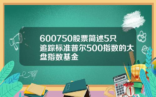 600750股票简述5只追踪标准普尔500指数的大盘指数基金