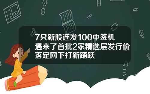 7只新股连发100中签机遇来了首批2家精选层发行价落定网下打新踊跃