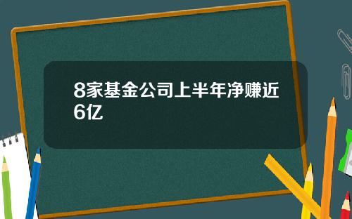 8家基金公司上半年净赚近6亿