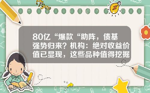 80亿“爆款“助阵，债基强势归来？机构：绝对收益价值已显现，这些品种值得挖掘-理财买什么基金好