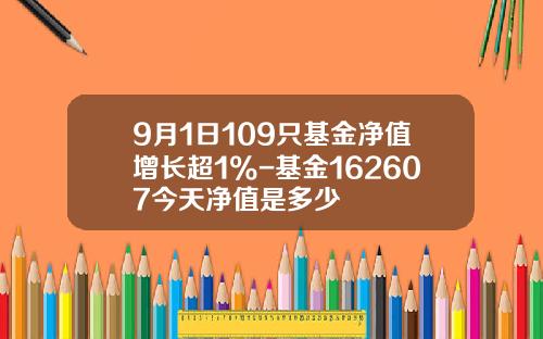 9月1日109只基金净值增长超1%-基金162607今天净值是多少
