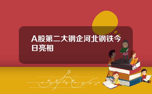 A股第二大钢企河北钢铁今日亮相