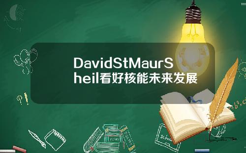 DavidStMaurSheil看好核能未来发展