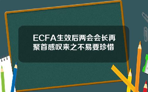ECFA生效后两会会长再聚首感叹来之不易要珍惜