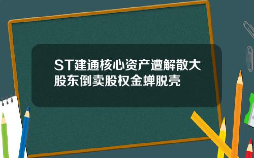 ST建通核心资产遭解散大股东倒卖股权金蝉脱壳
