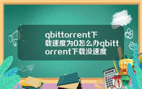 qbittorrent下载速度为0怎么办qbittorrent下载没速度