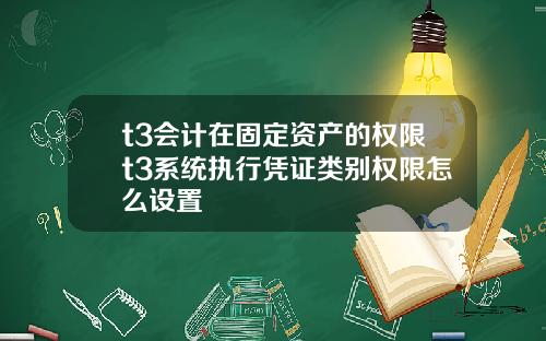 t3会计在固定资产的权限t3系统执行凭证类别权限怎么设置