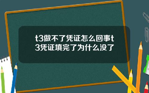 t3做不了凭证怎么回事t3凭证填完了为什么没了