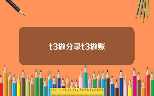 t3做分录t3做账