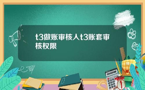 t3做账审核人t3账套审核权限