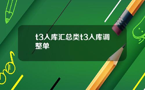 t3入库汇总类t3入库调整单