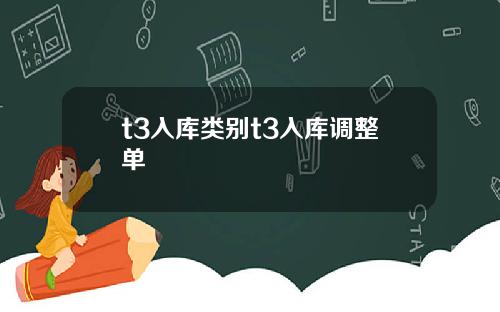 t3入库类别t3入库调整单