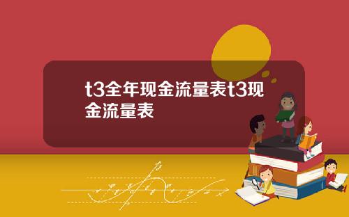 t3全年现金流量表t3现金流量表