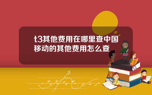 t3其他费用在哪里查中国移动的其他费用怎么查