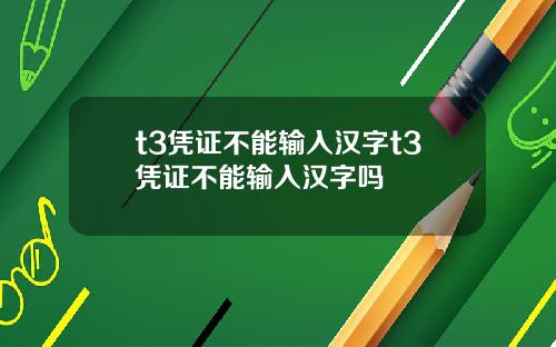 t3凭证不能输入汉字t3凭证不能输入汉字吗