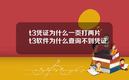 t3凭证为什么一页打两片t3软件为什么查询不到凭证