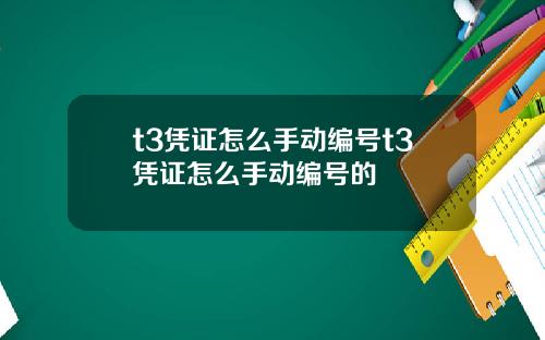 t3凭证怎么手动编号t3凭证怎么手动编号的