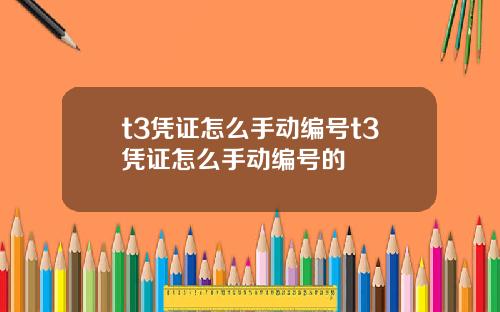 t3凭证怎么手动编号t3凭证怎么手动编号的