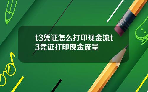 t3凭证怎么打印现金流t3凭证打印现金流量