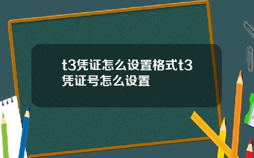 t3凭证怎么设置格式t3凭证号怎么设置