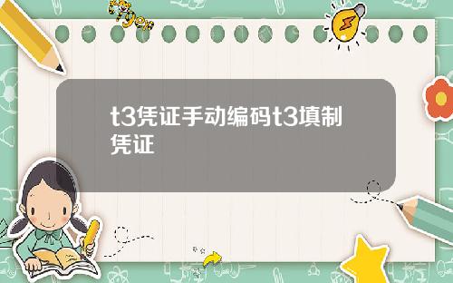 t3凭证手动编码t3填制凭证
