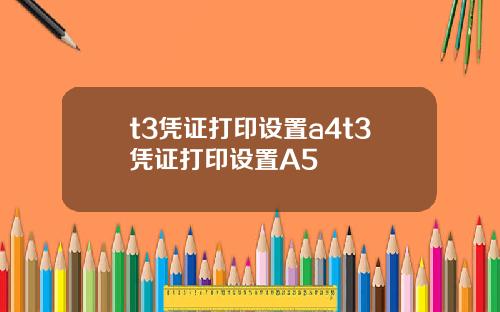t3凭证打印设置a4t3凭证打印设置A5