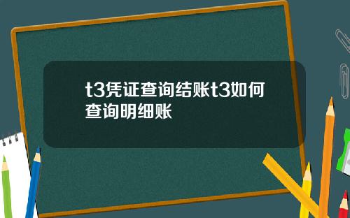 t3凭证查询结账t3如何查询明细账