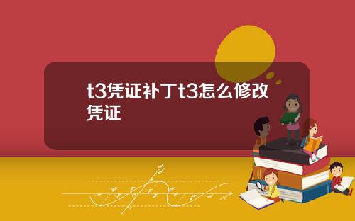 t3凭证补丁t3怎么修改凭证