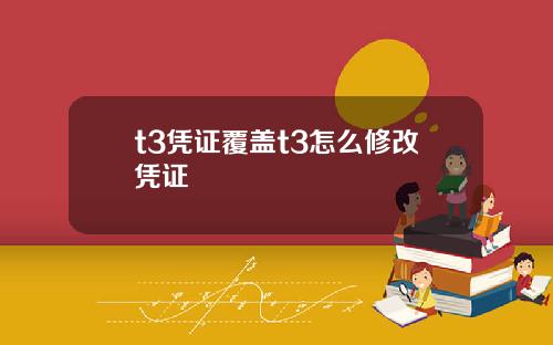 t3凭证覆盖t3怎么修改凭证