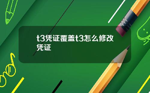 t3凭证覆盖t3怎么修改凭证