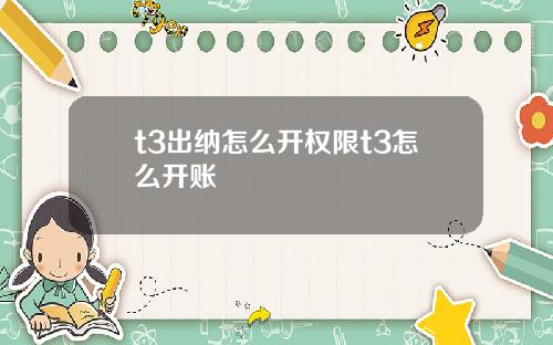 t3出纳怎么开权限t3怎么开账