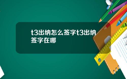 t3出纳怎么签字t3出纳签字在哪