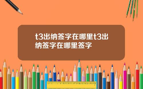 t3出纳签字在哪里t3出纳签字在哪里签字