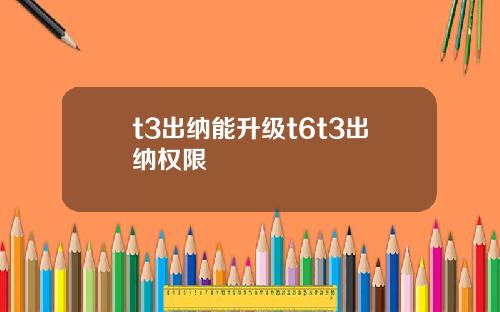 t3出纳能升级t6t3出纳权限