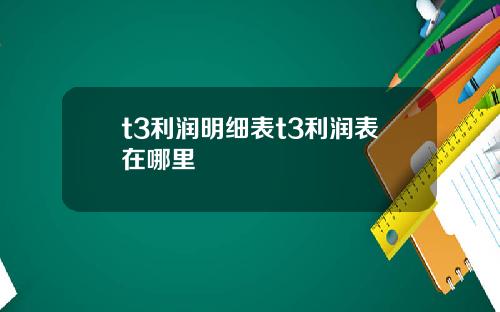 t3利润明细表t3利润表在哪里